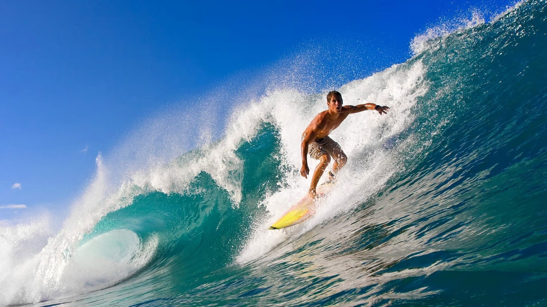 世界杯2026-世界杯之夜,托尼的救赎